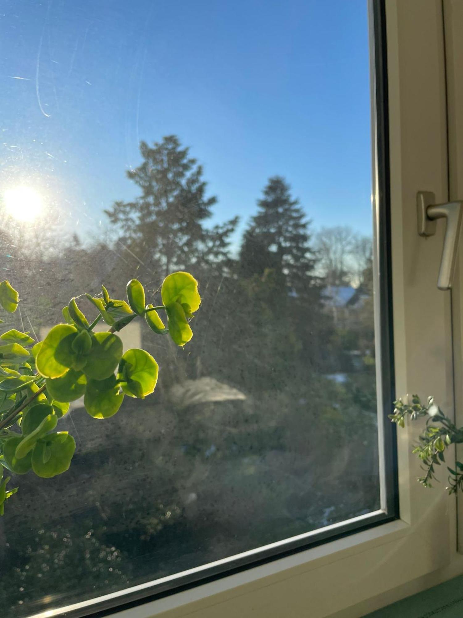 Apartment Ideale In Duesseldorf-nord Dusseldorf