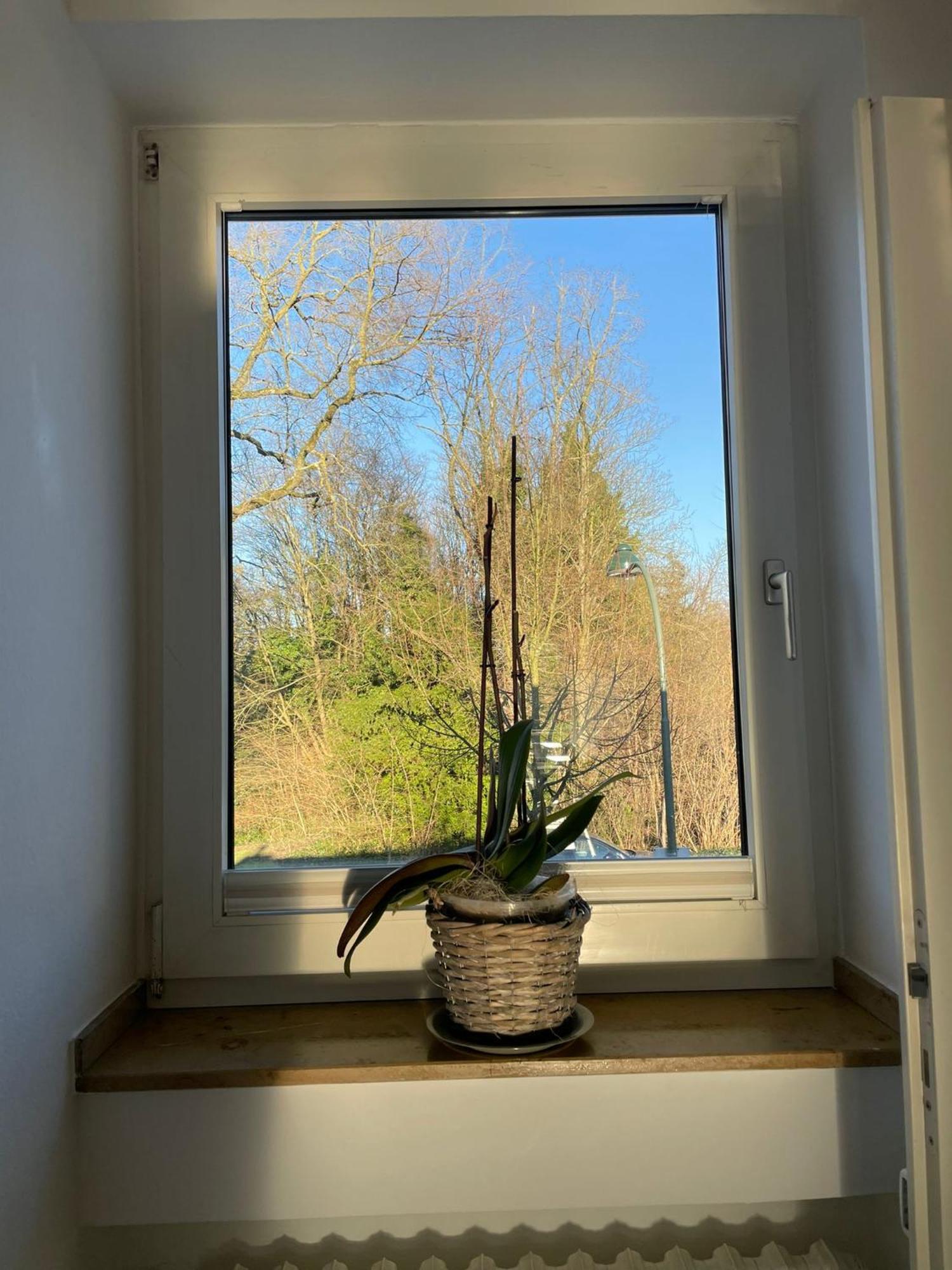 Ideale In Düsseldorf-nord *