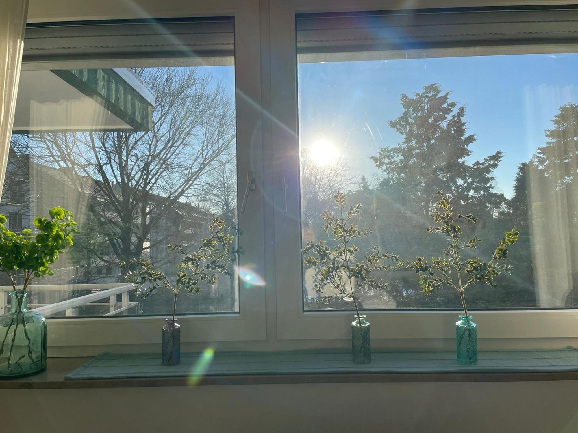 Ideale In Düsseldorf-nord Apartment